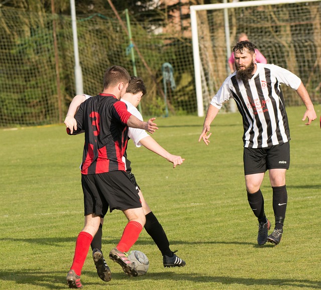 将可能导致 将可能导致