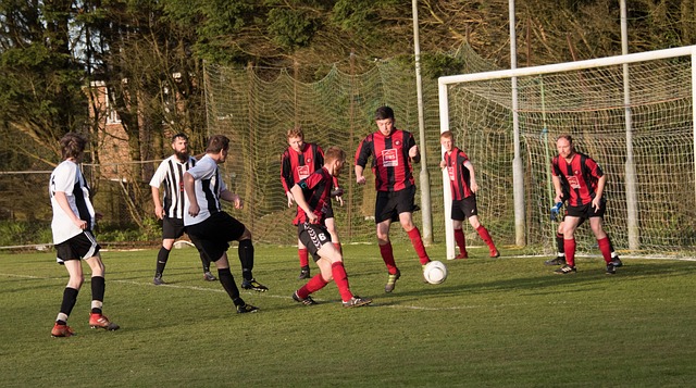 的思维一度 的思维一度