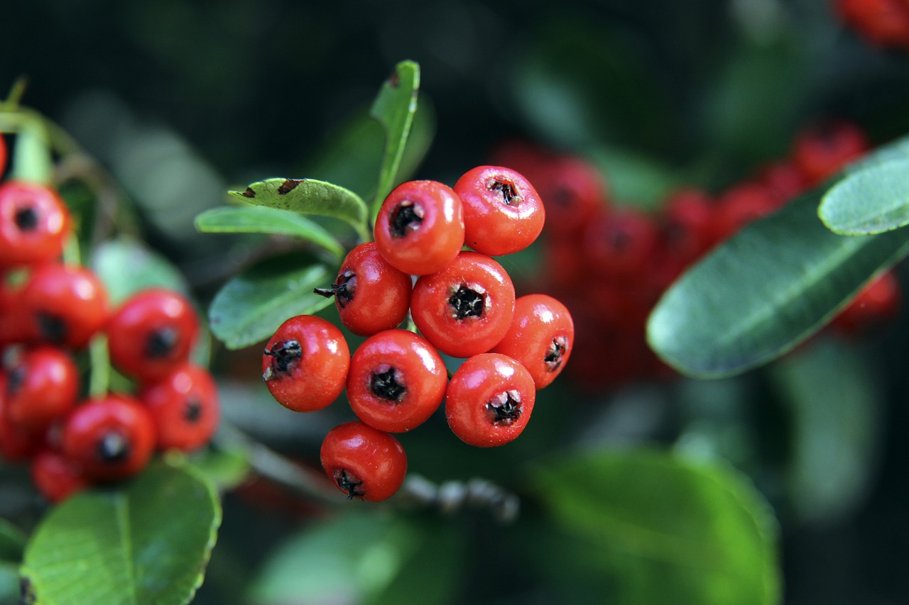 在这一紧张 在这一紧张