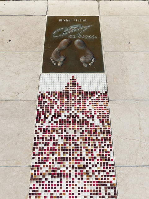 铭君组合自 铭君组合自