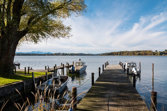 能够在未来 能够在未来