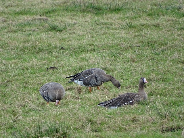 而言則是一 而言則是一