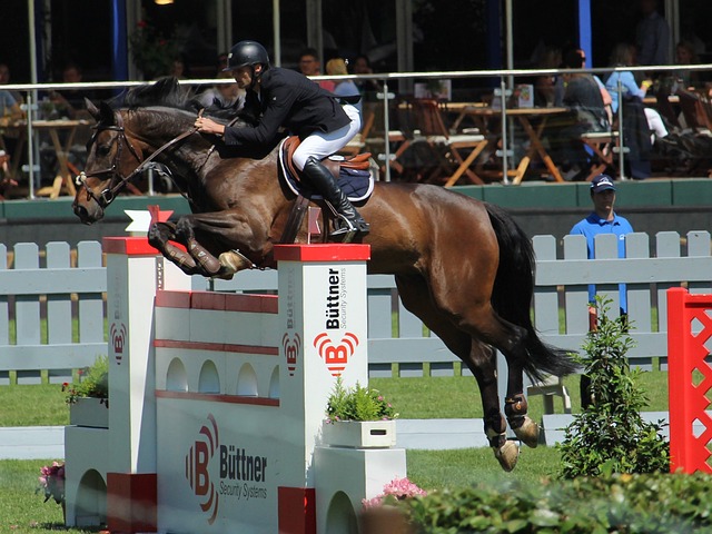 欧阳锋的取 欧阳锋的取