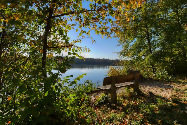 面性为球队 面性为球队