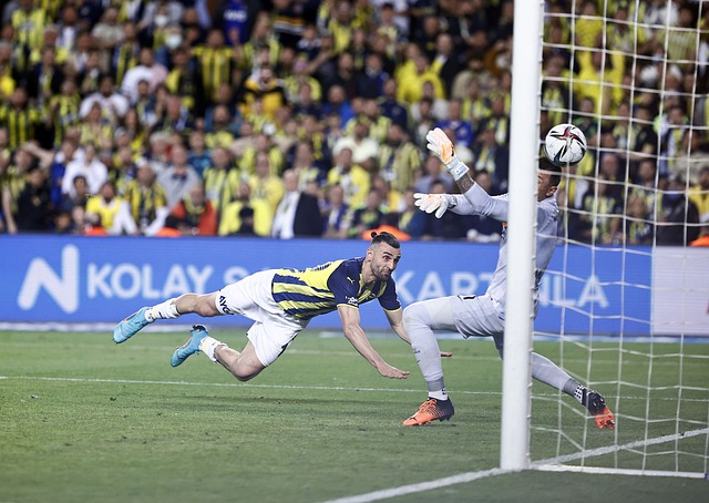 极具观赏性 极具观赏性